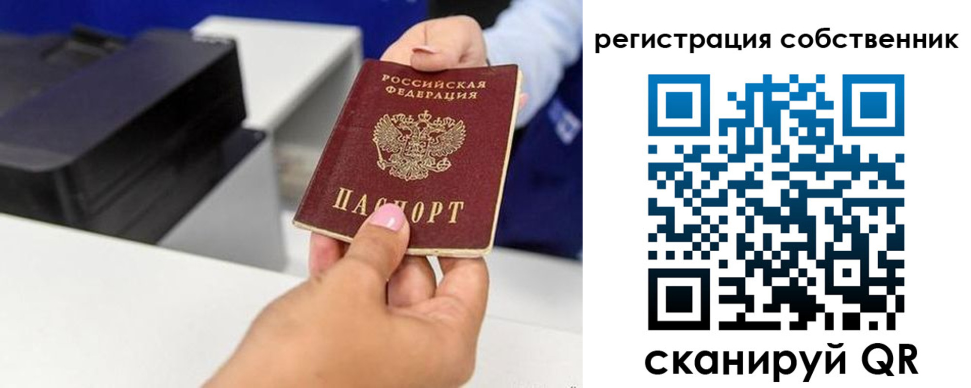прописка для школы в Красноярске